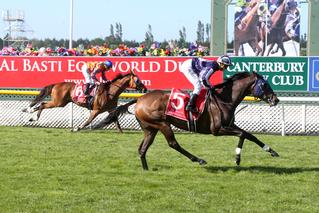 Aspen Lass wins the Metropolitan Trophy at Riccarton. Photo: Race Images South